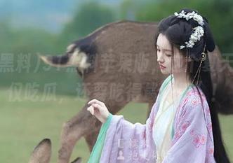 91黑料苹果版，这个夏天，不仅吃瓜，还要吃得最“精”！