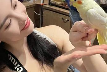 瞧！91黑料网，真是个奇妙网页，果然瓜多到让人怀念曾经的无聊！