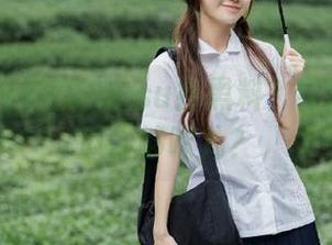在998.su找黑料？导航下点啥瓜最够味儿？