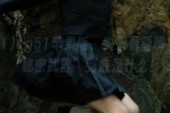 cg51苹果版，快来看看明星们的‘秘密武器’到底是什么！