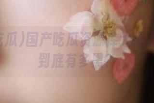 国产吃瓜资源库大揭秘：黑料到底有多黑？