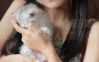 视频揭秘：每日吃瓜51上的大瓜，简直就是人生的开心果！