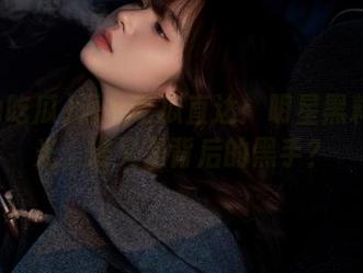 海角吃瓜直达：明星黑料大曝光，谁又是背后的黑手？