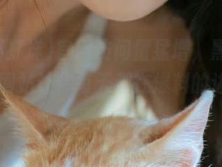 官网访问量猛增，黑料不打烊zztt网站让你每天都在爆料的边缘徘徊！