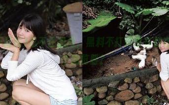 忍不住想问，黑料不打烊发布都在推荐哪个浏览器？