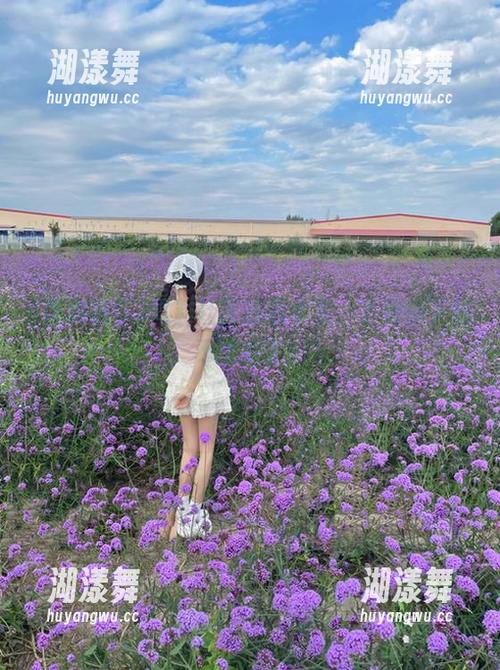 黑料社区精品太多，下载都下载不过来了！